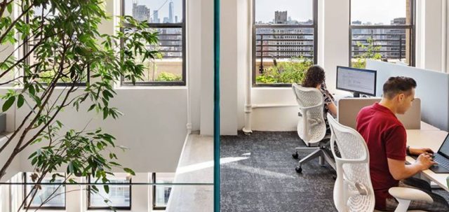 Biophilic Design — Good for You, Good for Business